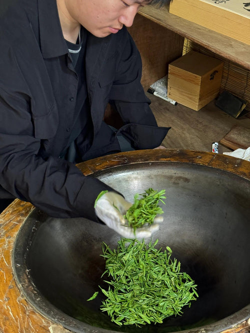 West Lake Longjing: The Complete Masterclass (Harvest to Whisking)