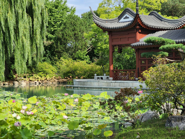 Shanghai Old Town & Historic City Sightseeing