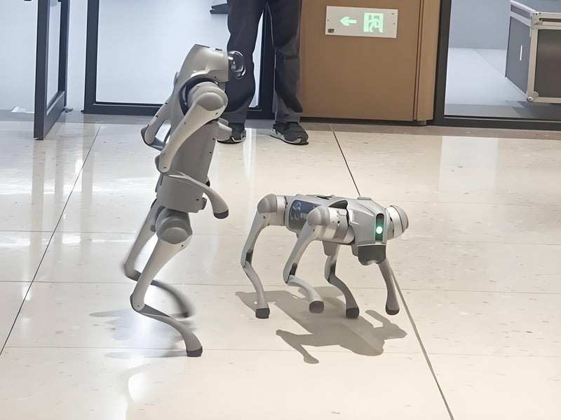 Hangzhou Tech: AI Robots, Auto-Pilot