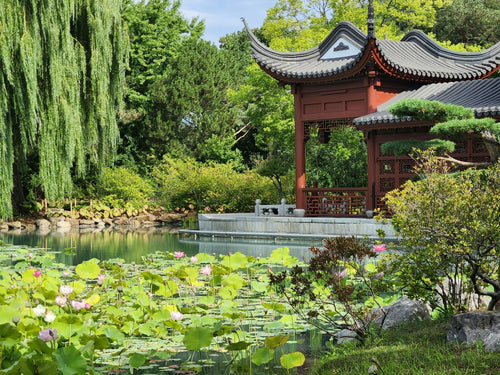 Shanghai Old Town & Historic City Sightseeing
