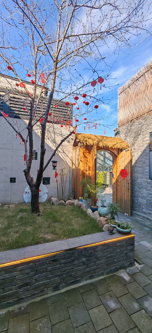 Tai Chi: Chenjiagou Heritage Masterclass & Wellness Flow